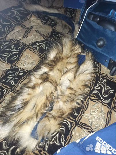 Опушка Енот новая Forward