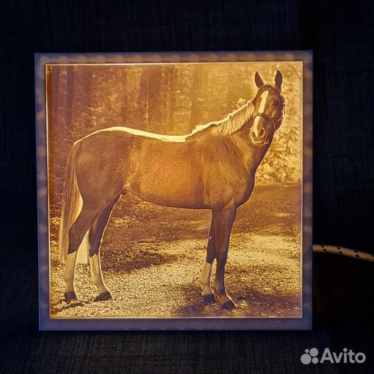 Ночник с любым фото (с зарядкой, розеткой, диммер)