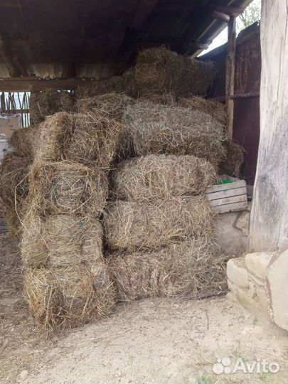 Сено в тюках