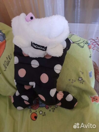 Комбинезон для маленькой собачки