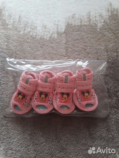 Переноска, сандалии, одежда