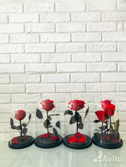 Живые розы в колбе