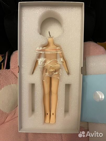 BJD тело 1/6 DolleyDoll