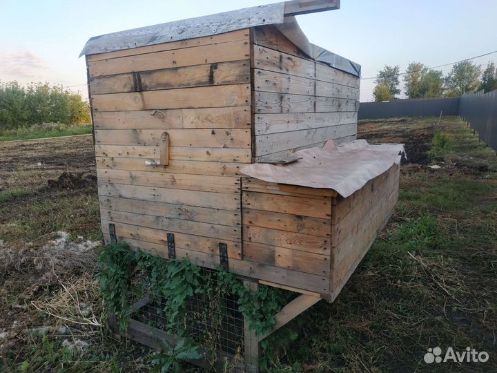 Курятник 20 кур