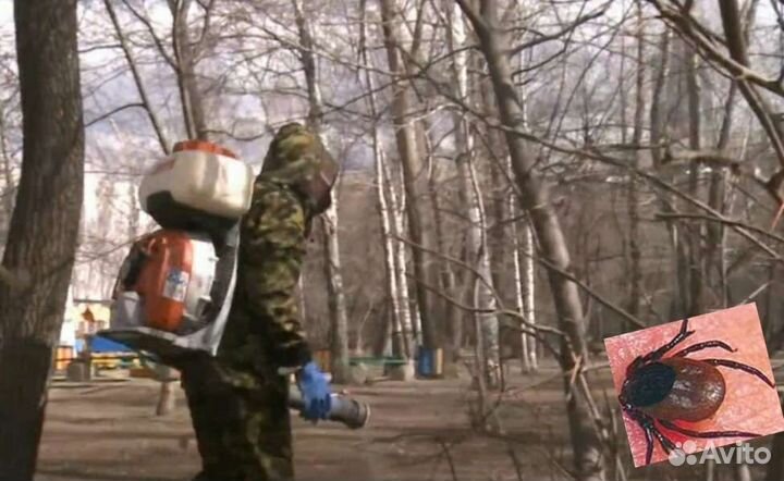 Уничтожение тараканов, клопов, крыс, клещей