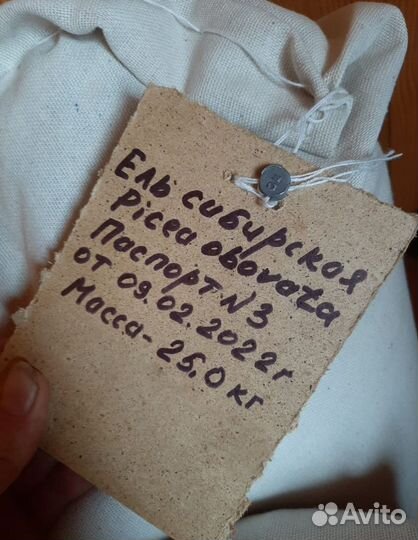 Семена ели на заказ