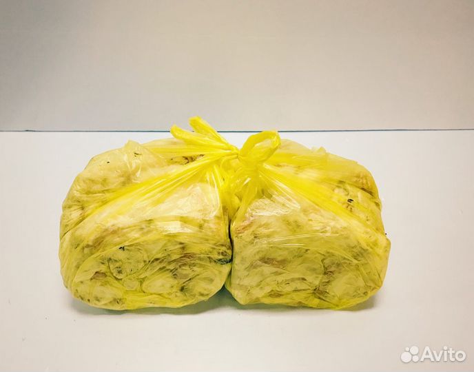 Цыплята суточные на корм животным и другие продукт