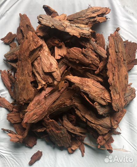 Кора сибирской лиственницы гумус