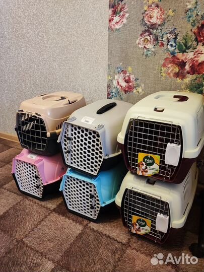Переноски для животных. Выбор есть