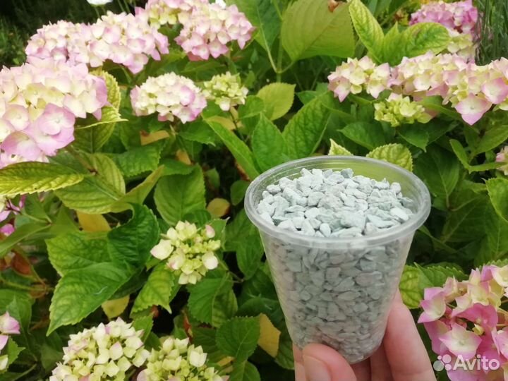 Цеолит зеленый