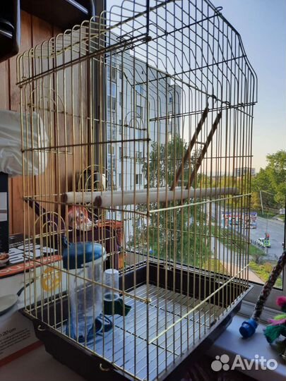 Клетка для попугая