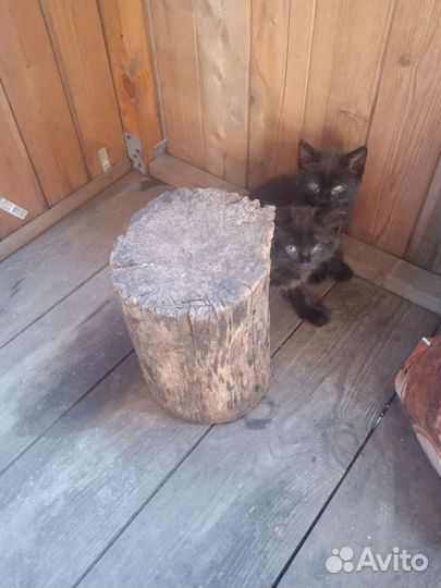 Мальчик и девочка