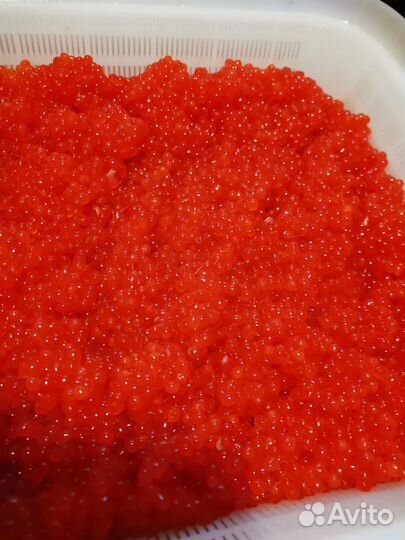 Икра красная, вкусная, среднесоленая, малосоленая