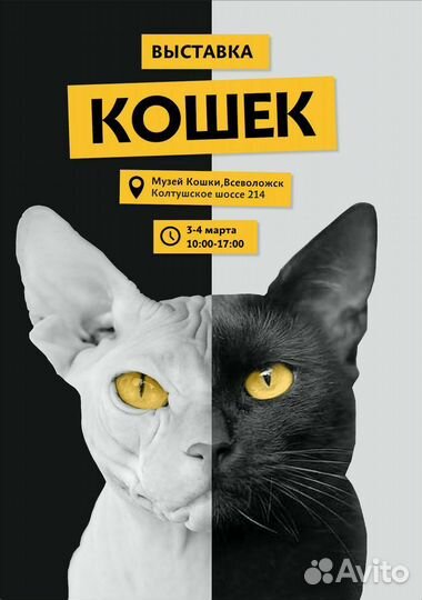 Графический дизайнер