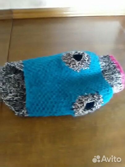 Одежда для собак