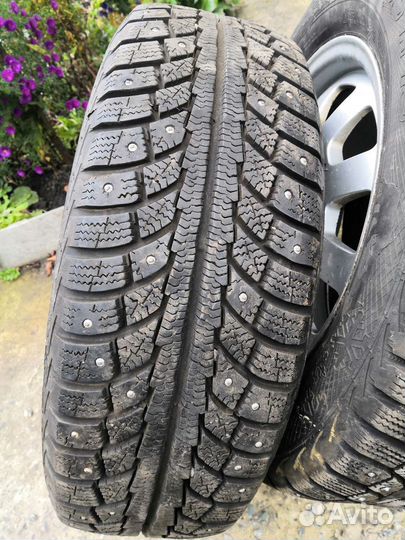Gislaved Nord Frost 5 195/65 R15
