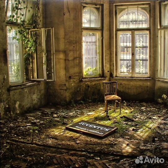 Juventus / Hangok A Multbol (LP)