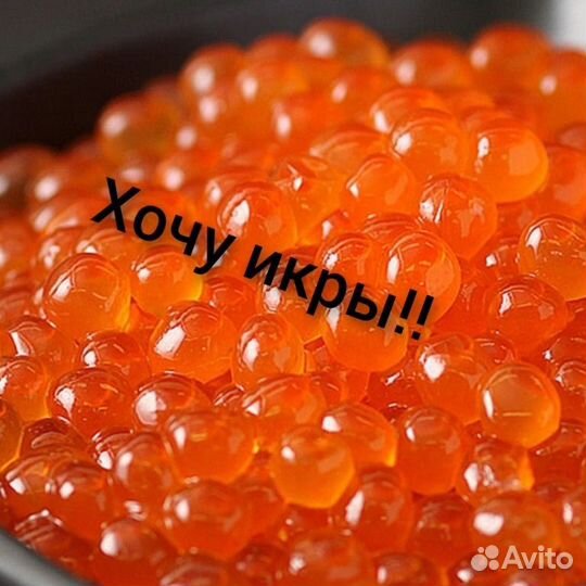 Икра горбуши. Форель свежая