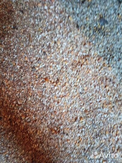 Зерносмесь