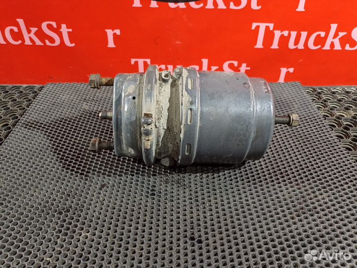 Энергоаккумулятор тормозной Daf XF106