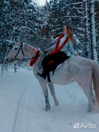 Вальтрап для лошади