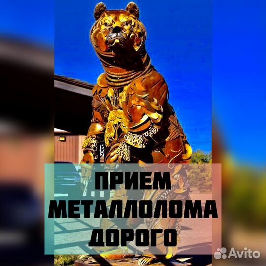 Прием и вывоз металлолома