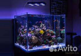 Обслуживание/чистка аквариумов