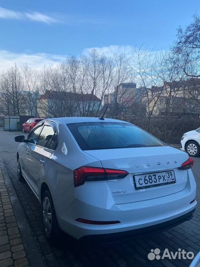 Прокат аренда Шкода Рапид