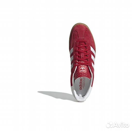 Adidas Gazelle Indoor Scarlet Cloud White