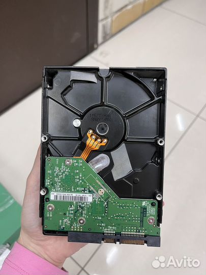 Жесткий диск Western Digital WD