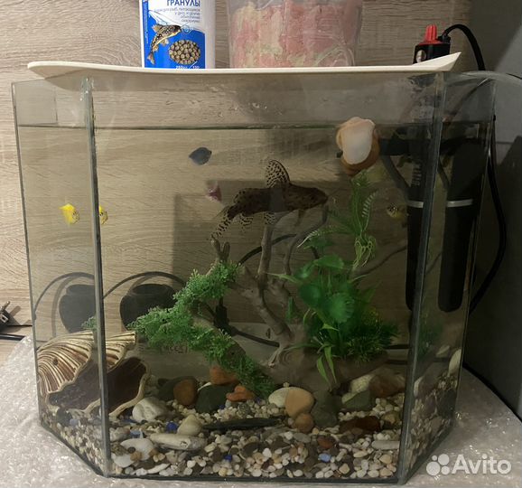 Аквариум с рыбками, возможен обмен на велосипед