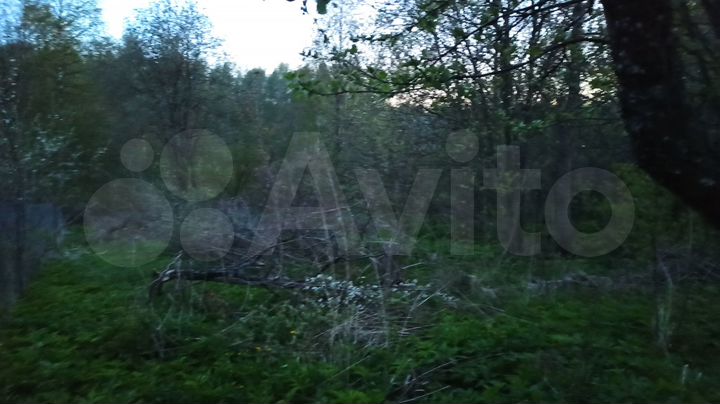 Участок 8 сот. (СНТ, ДНП)