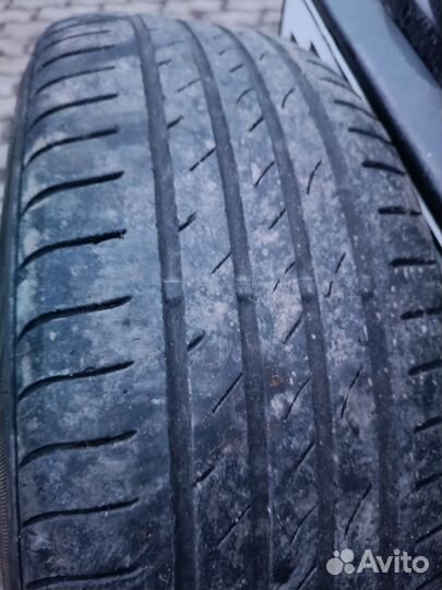 Nexen N'Fera Primus 195/55 R16