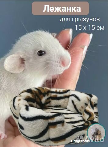 Лежанка 15х15см для крыс, хомяков