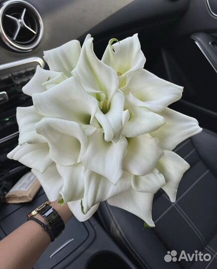 Лучшие каллы