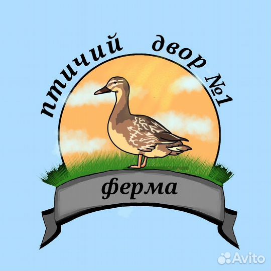 Птицы