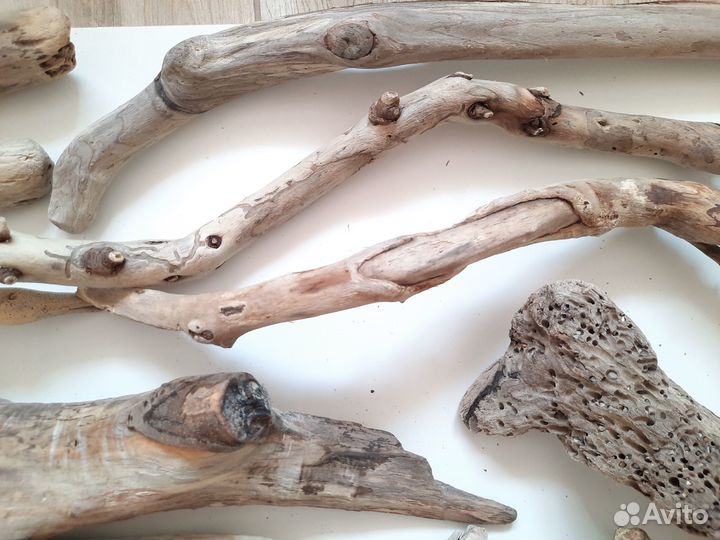 Дрифтвуд чёрного моря (набор)