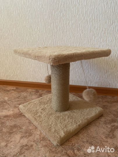 Когтеточка