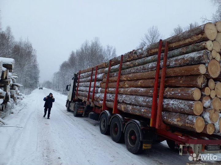 Лес кругляк опт