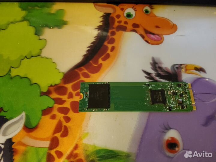 Ssd,WD Green SATA ssdM.2 2280 240GB