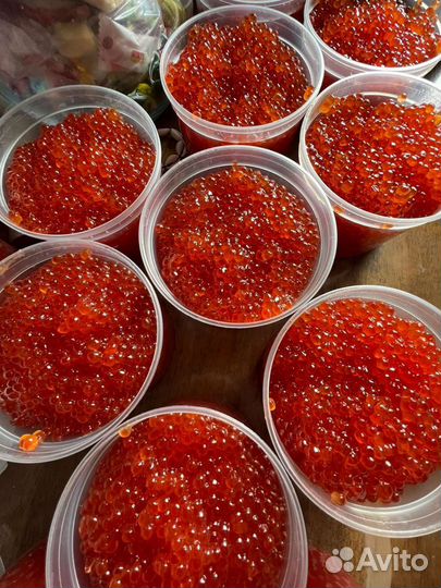 Красная икра 2023