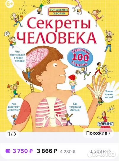 Детские книги с окошками Секреты человека Робинс