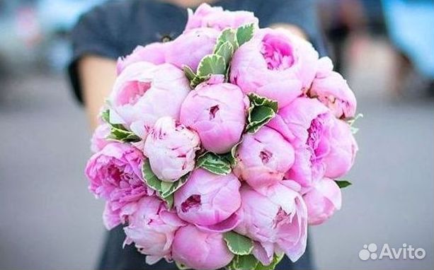 Пионы Цветы Доставка