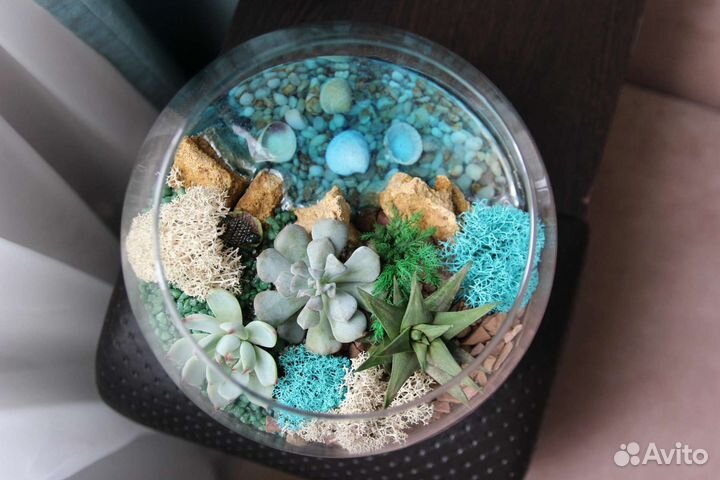 Флорариум, подарки, комнатные цветы