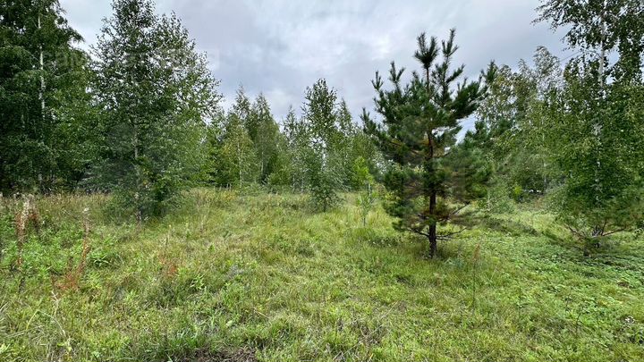 Участок 10 сот. (ИЖС)