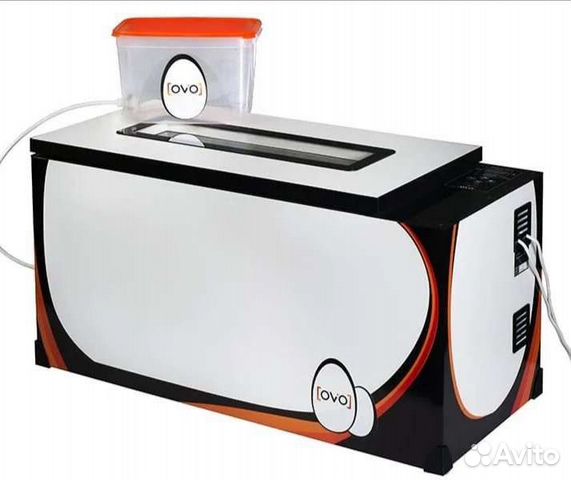 Инкубатор аренда