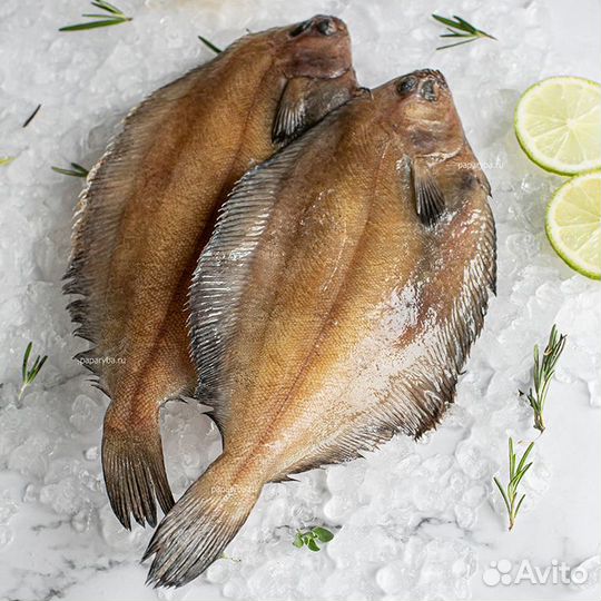 Камбала палтусовая