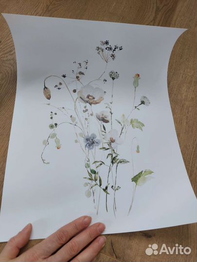 Постеры 3шт 30 на 40