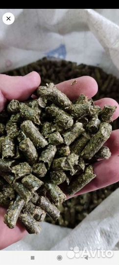 Травяные гранулы люцерны 2023 года