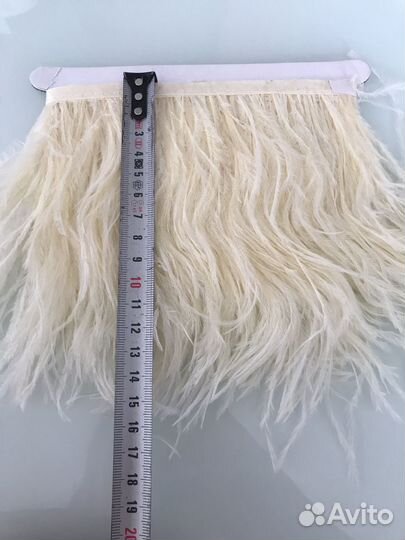 Новые перья страуса